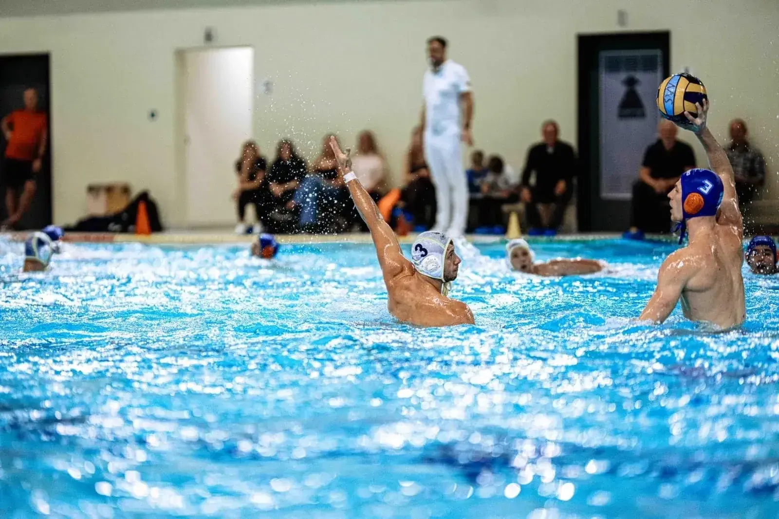 Spannung im letzten Heimspiel des Jahres: SVV Plauen empfängt SG