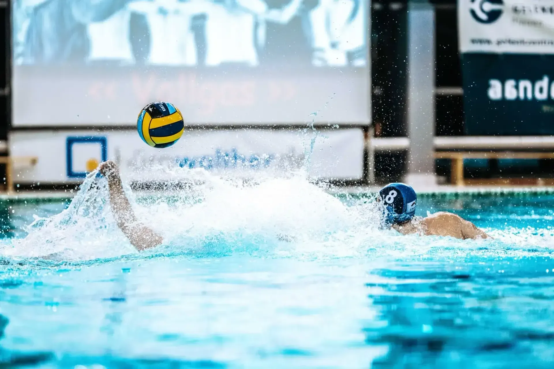 Platz sechs für Plauen nach intensivem Serienfinale gegen