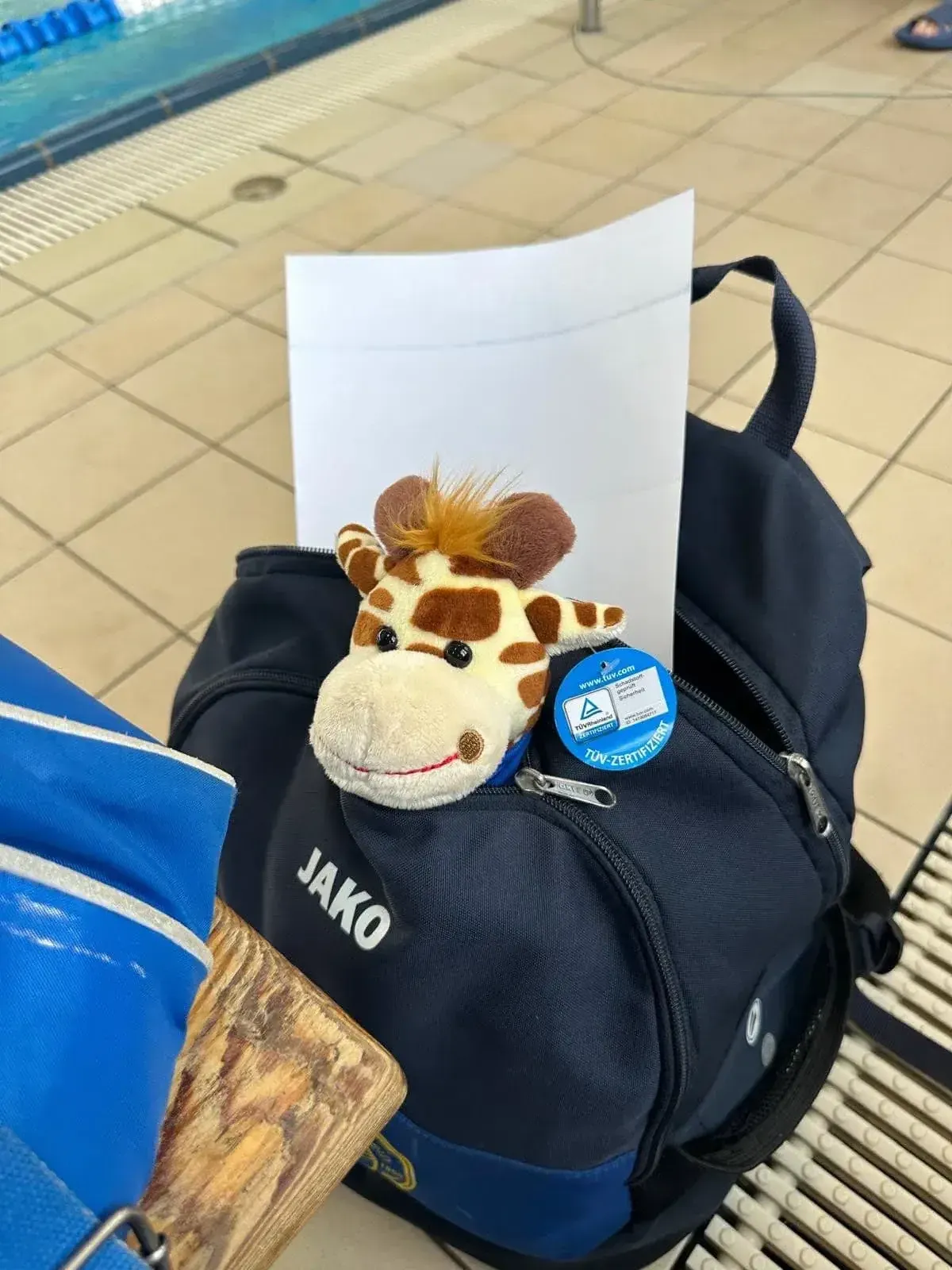 Eine Giraffe nach Plauen entführt