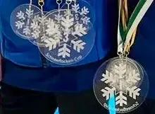 Karl sichert sich Schneeflockencup