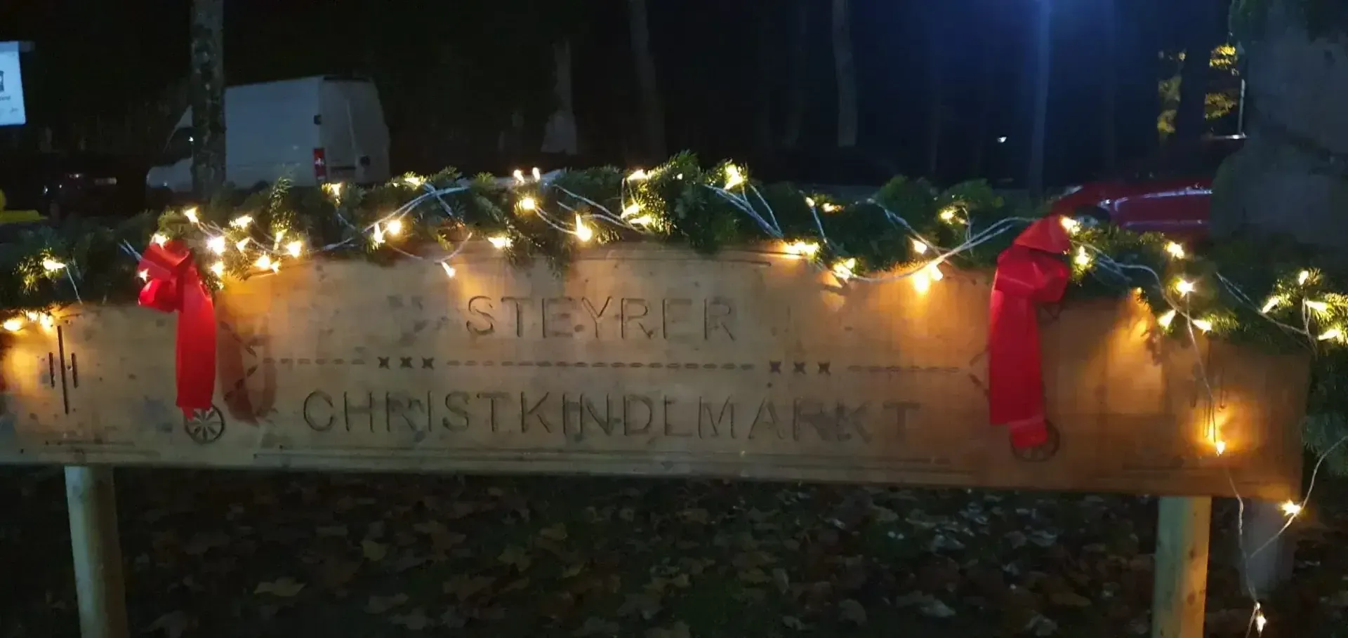 38. Internationales Nikolausschwimmen Steyr